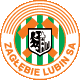 zaglebie lubin.gif